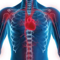 Локализация ревматизма