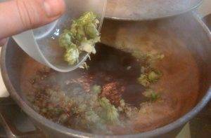 Домашнее пиво Домашнее пиво