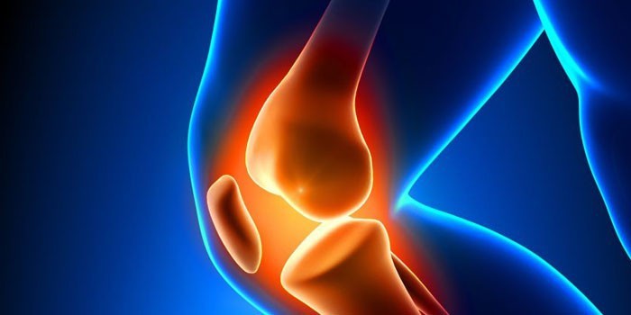 Строение коленного сустава человека